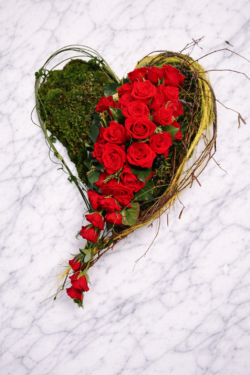 Rotes geteiltes Herz