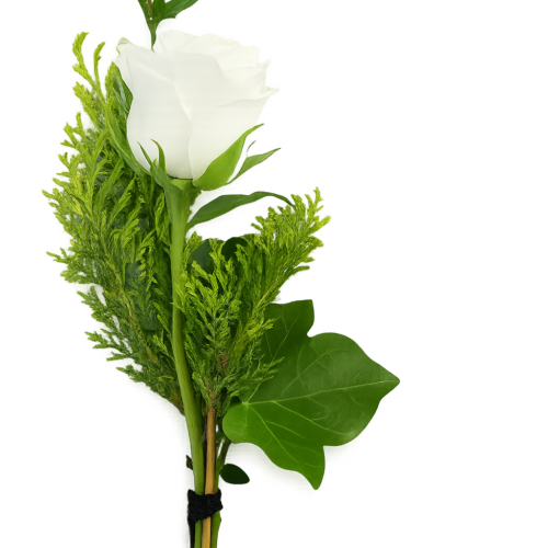 weiße Rose als Handblume